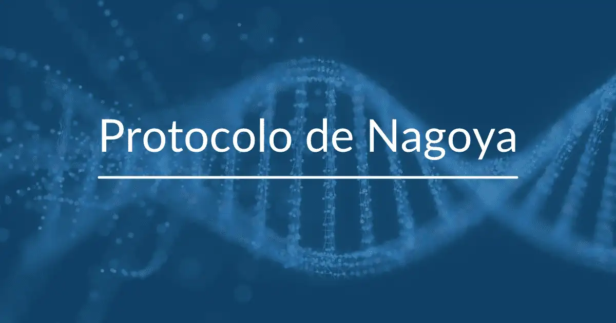 What is the Nagoya Protocol?